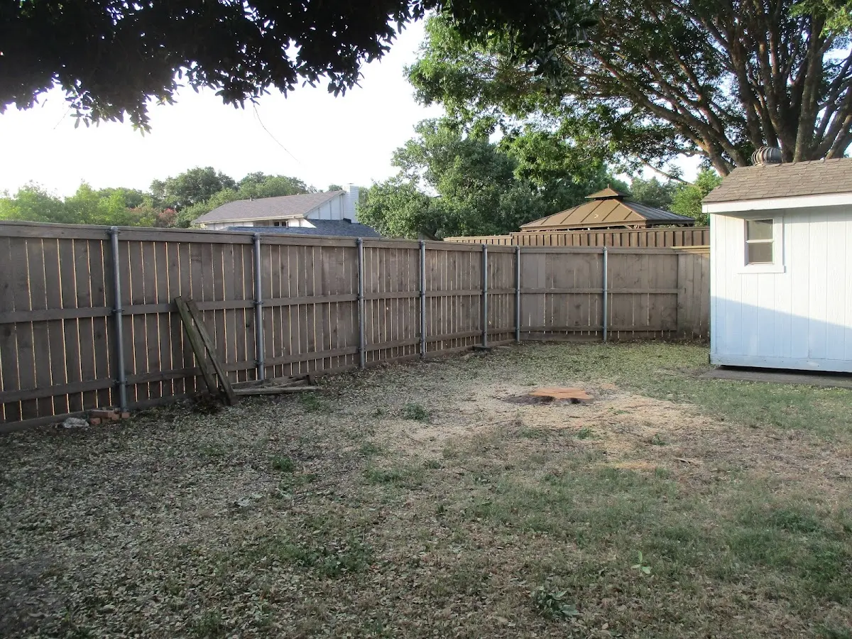 Cleared yard after professional tree removal in Carlstadt